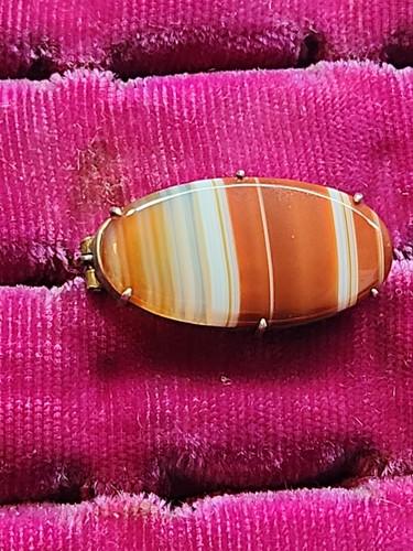 Scottish agate clasp - scottish,